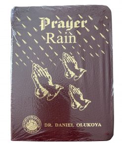 PRAYER RAIN-TWELFTH EDITION Leather Bound – January 1, 2009 by DR. DANIEL OLUKOYA (Author)