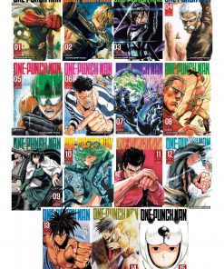 One Punch Man Volume 1-15 Collection 15 Books Set Paperback – geeekyme.com